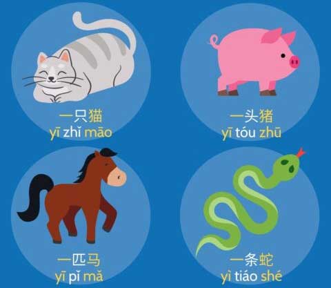 Illustrated guide showing which Chinese measure words to use for different animals: 只, 匹, and 头
